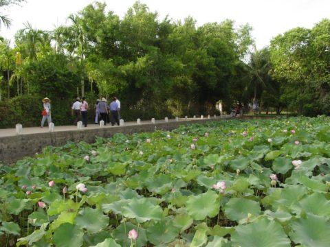 ve-tham-lang-sen-que-huong-cua-bac-ho-kinh-yeu11-1-480x360-1
