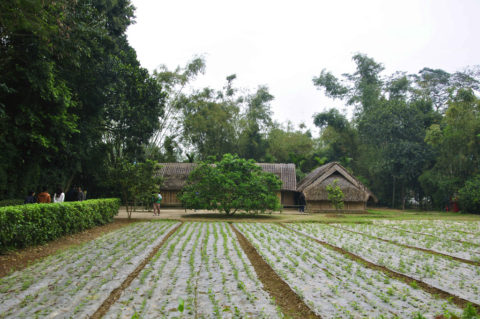 ve-tham-lang-sen-que-huong-cua-bac-ho-kinh-yeu6-480x319-1